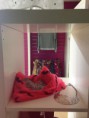 /album/bufandas-pashminas/img-3717-jpg/