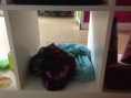 /album/bufandas-pashminas/img-3723-jpg/